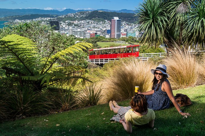 From Cave to Coast Wellington Highlights Tour - Image 2