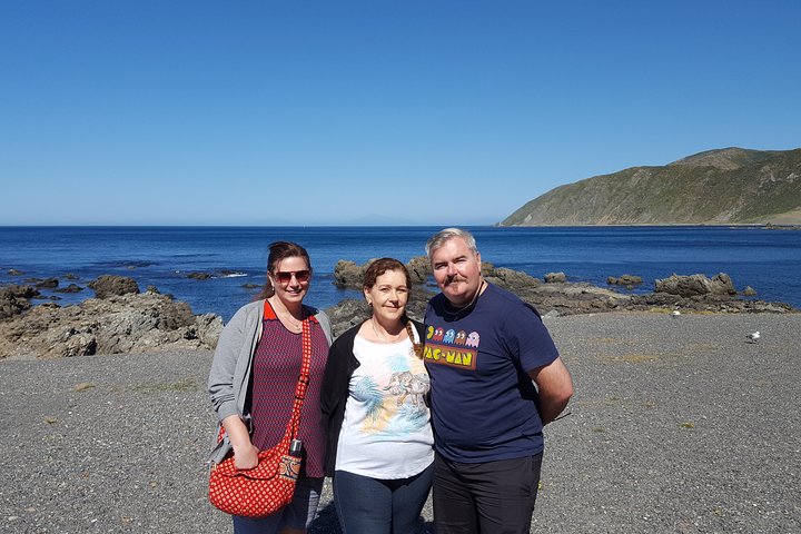 From Cave to Coast Wellington Highlights Tour - Image 4