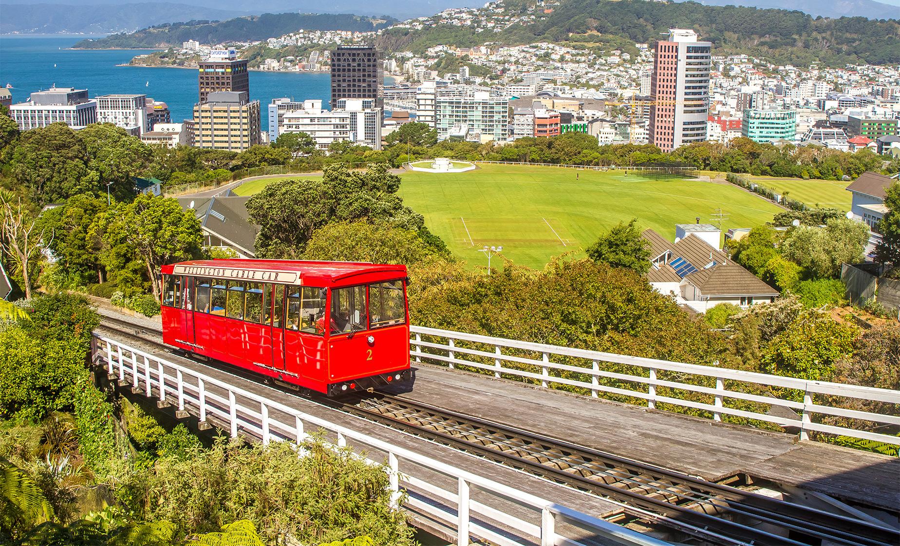 Full Day in Wellington - Image 1