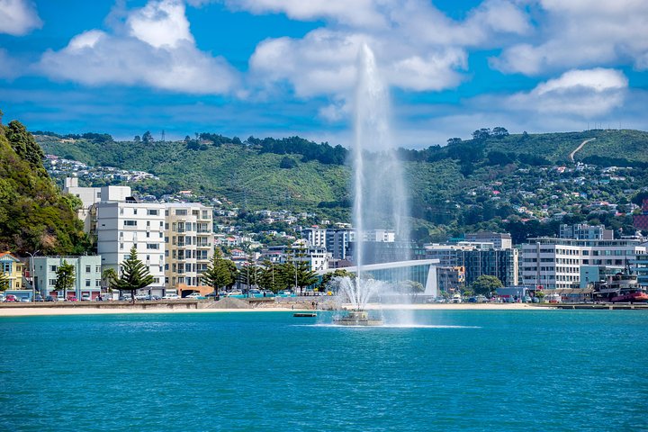 Half Day Tour of Wellington - Image 2