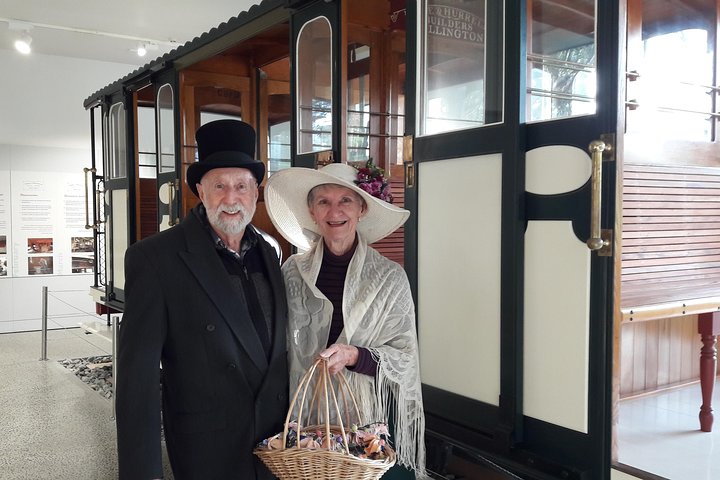Half Day Tour of Wellington - Image 4