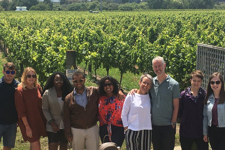 Martinborough Foodie Half Day Tour - Image 2