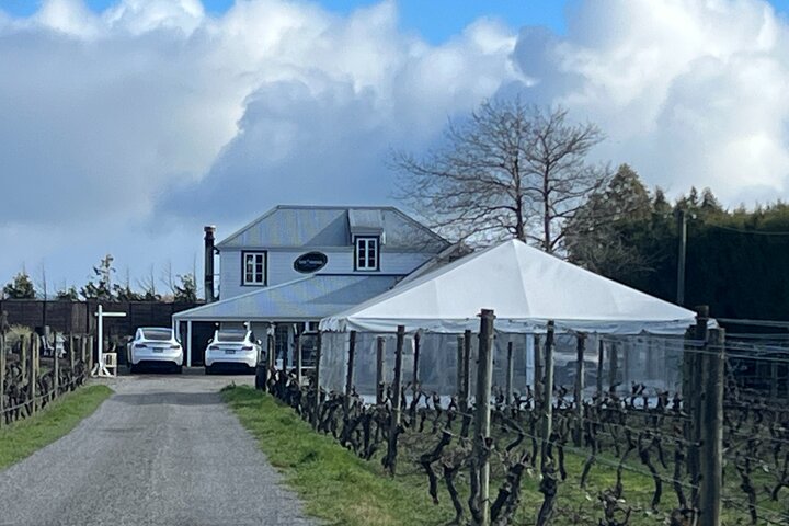 Martinborough High Tea and Wine Tour in Tesla SUVs - Image 1