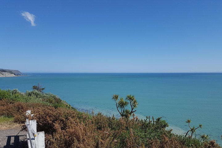 Martinborough Wine and Wild Coast Tour from Wellington - Image 5