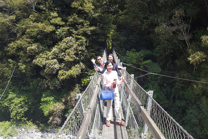 Martinborough Wine and Wild Coast Tour from Wellington - Image 4