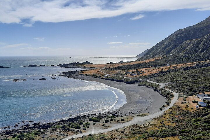 Martinborough Wine and Wild Coast Tour from Wellington - Image 2