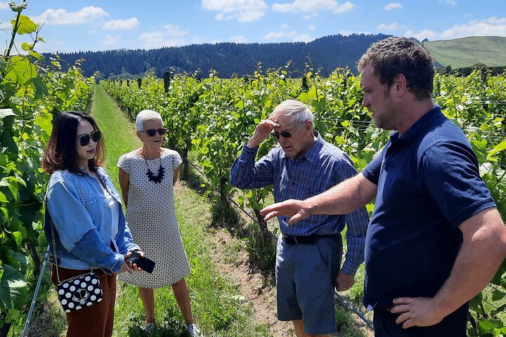 Martinborough Winery and Foodie Tour - Image 5