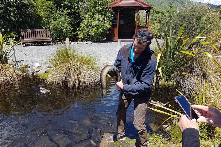 Private Kapiti Coast Full Day Tour - Image 1
