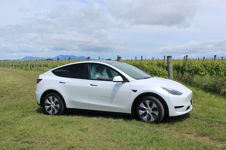 Private Martinborough Wine Tour in an Electric Vehicle - Tesla Model Y - Image 2