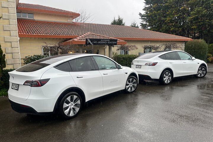 Private Tandem Tesla Tour to Martinborough Vineyards - Image 5