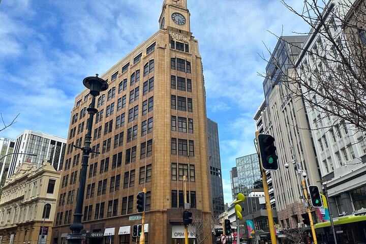 Private Tour in Wellington  - Image 4