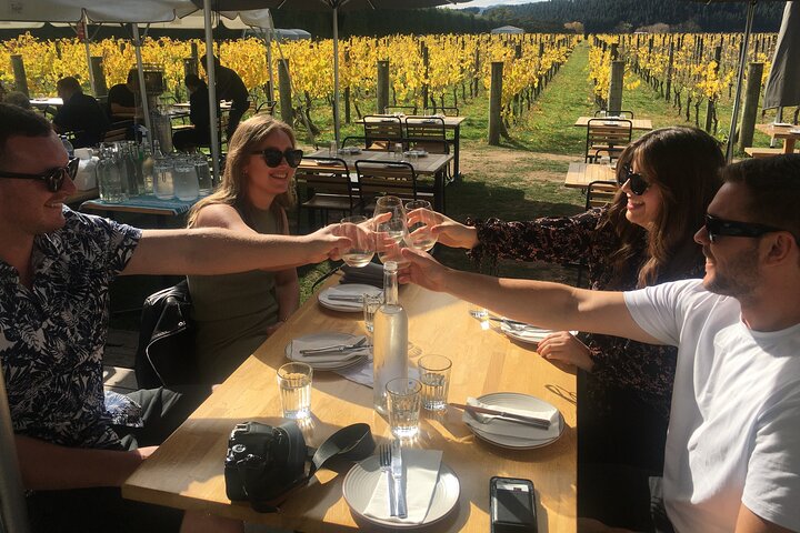 Private Wairarapa Wine Delights Tour from Wellington - Image 1