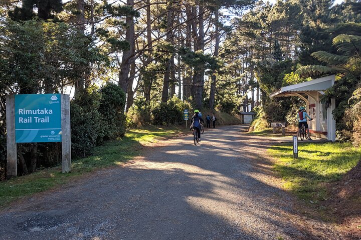 Remutaka Rail Trail Explorer - eBike Cruise Ship Shore Excursion - Image 5