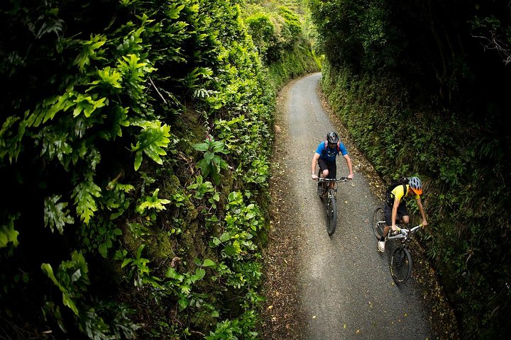Remutaka Rail Trail Explorer - eBike Cruise Ship Shore Excursion - Image 3