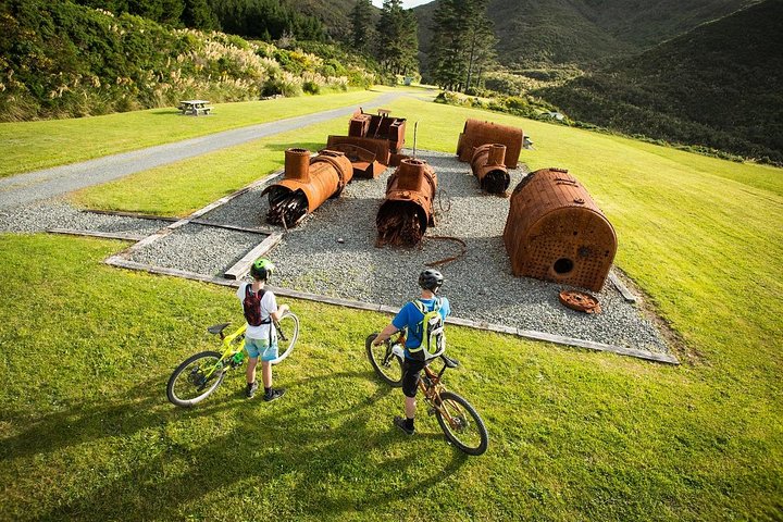 Remutaka Rail Trail Explorer - eBike Cruise Ship Shore Excursion - Image 1