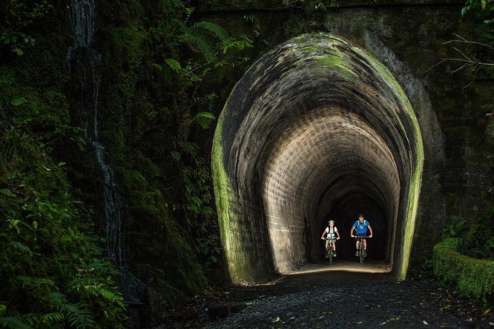 Remutaka Rail Trail Explorer - eBike Cruise Ship Shore Excursion - Image 2