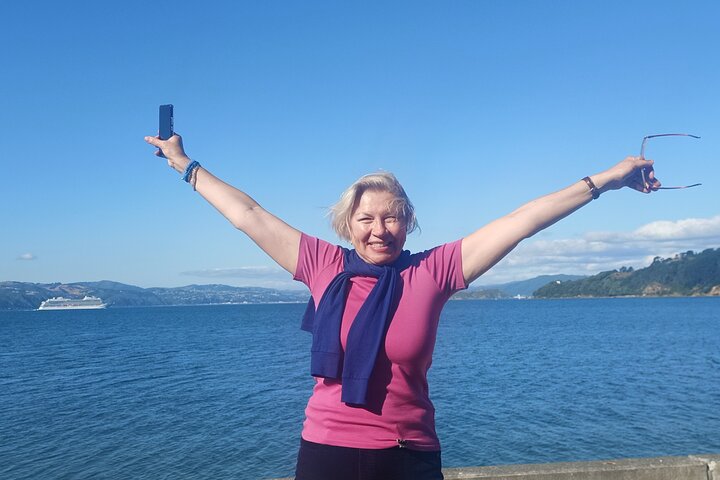 Spectacular Wellington: Full Day Private Sightseeing Tour - Image 3