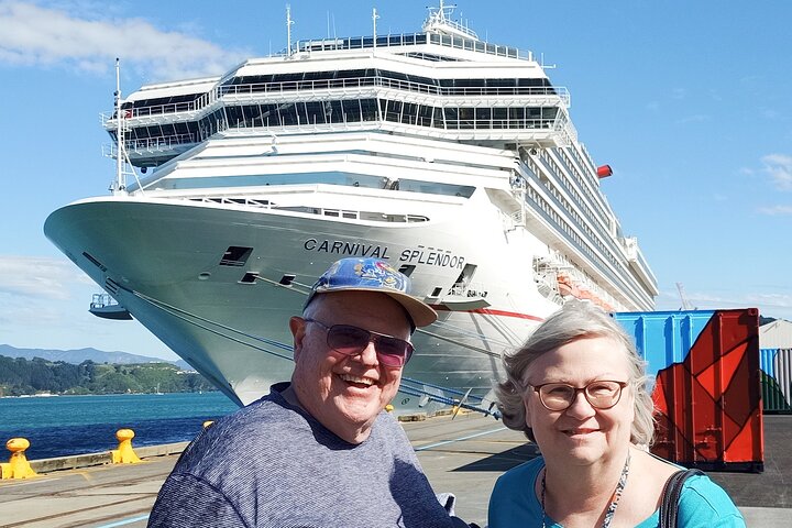 Spectacular Wellington: Full Day Private Sightseeing Tour - Image 2