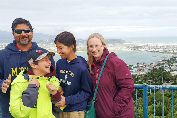Spectacular Wellington: Full Day Private Sightseeing Tour - Image 1