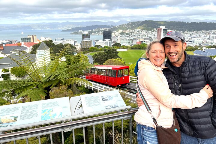 Spectacular Wellington: Half Day Private Sightseeing Tour - Image 1