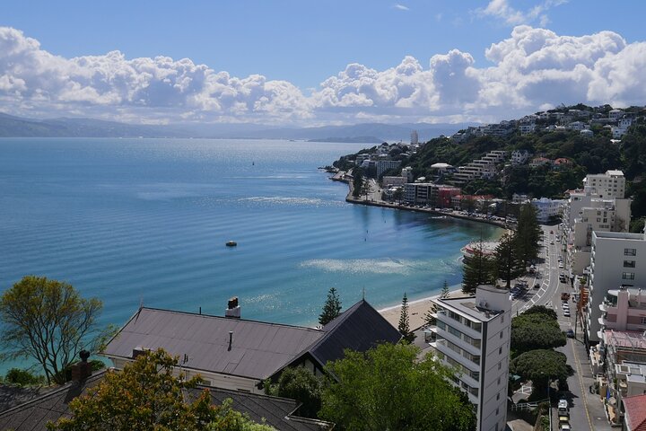 Spectacular Wellington: Half Day Private Sightseeing Tour - Image 5