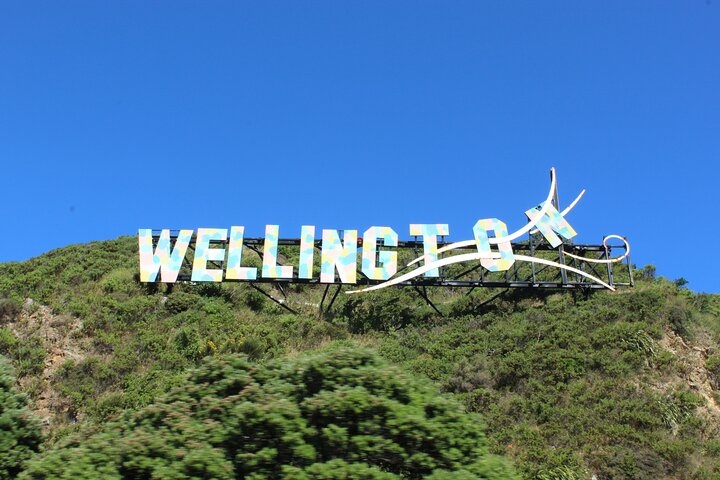 Wellington Full Day Private Tour in Electric Tesla SUV - Image 2