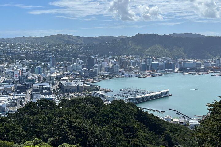 Wellington Full Day Private Tour in Electric Tesla SUV - Image 1
