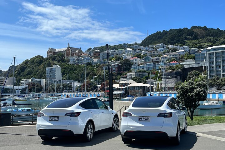 Wellington Half Day Private Tour in Electric Tesla SUV - Image 4
