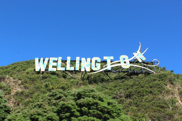 Wellington Half Day Private Tour in Electric Tesla SUV - Image 1
