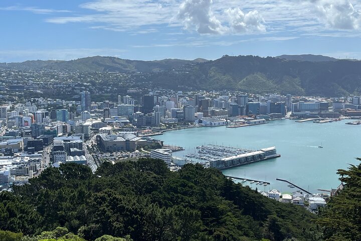 Wellington Half Day Private Tour in Electric Tesla SUV - Image 3