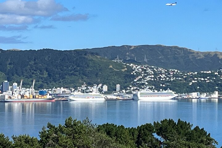 Wellington Private Tandem Tesla Tour - Image 5