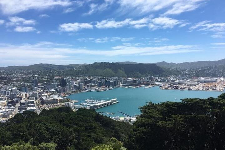 Wellington Scenic Full Day Tour - Image 3