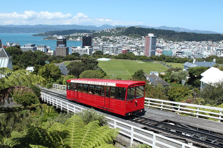 Wellington Scenic Full Day Tour - Image 1