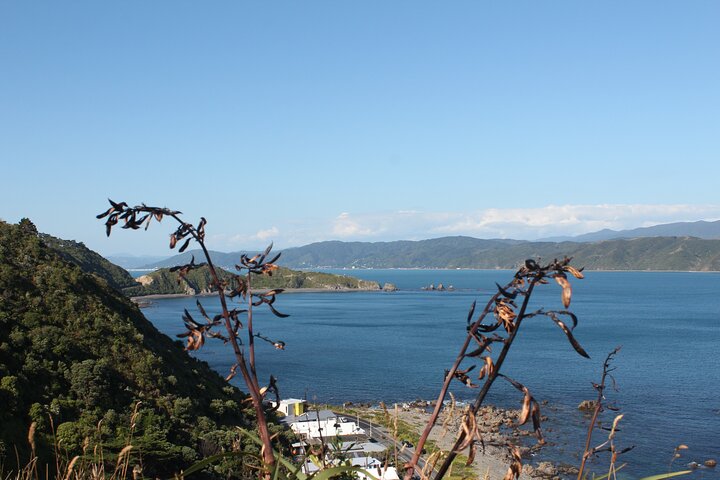 Wellington Scenic Full Day Tour - Image 2
