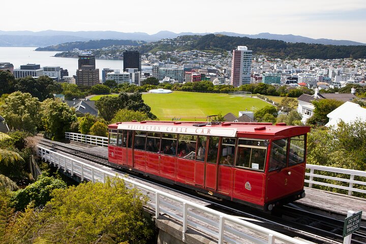 Wellington Shore Excursion City Sightseeing Tour - Image 2