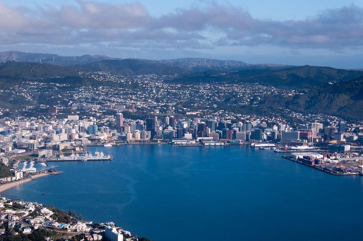 Wellington Shore Excursion City Sightseeing Tour - Image 1