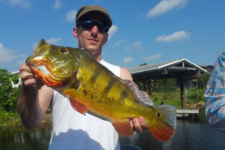 8 Hour Peacock Bass Fishing Trip Near Palm Beach - Image 2