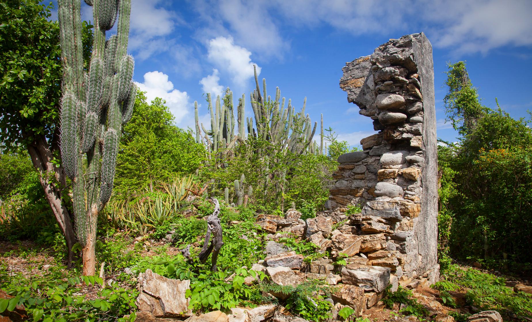 National Park Off Road Adventure - Image 1