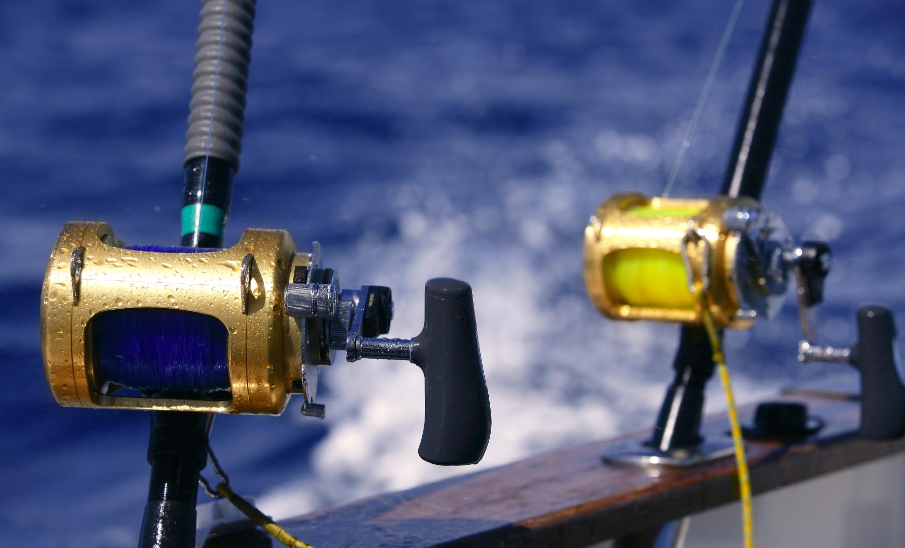 Private Fishing Charter - Image 1