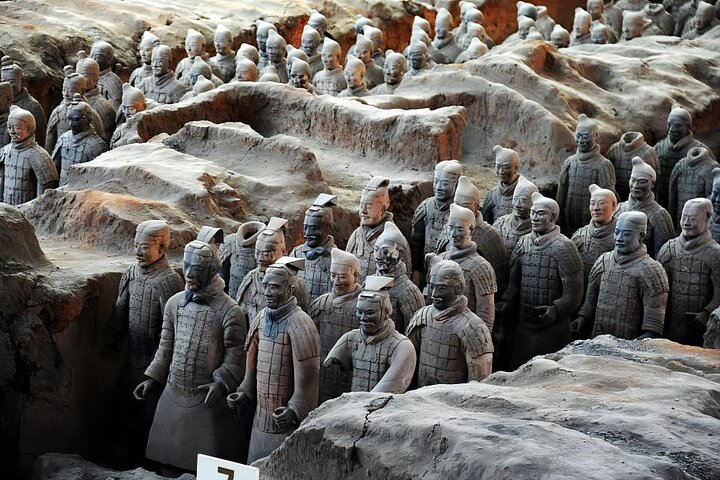 All-inclusive Xi'an Panda and Terracotta Warriors Layover Tour with Lunch - Image 3