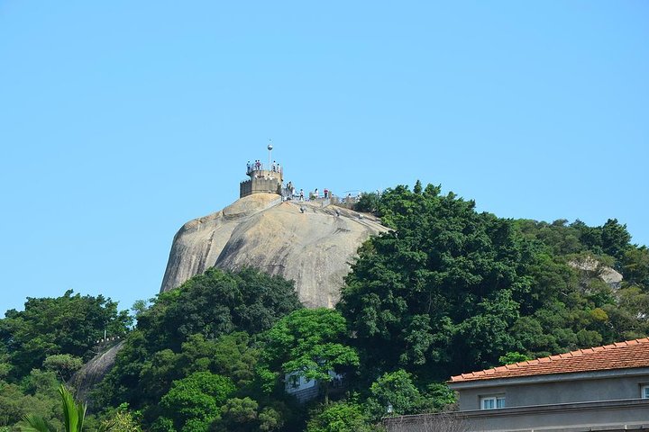 Day Tour to Admire the Panorama of Gulangyu Island and Visit the Precious Birds - Image 4