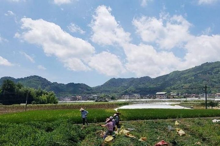 Hakka Tulou Village and Yun Shui Yao Water Town Private Day Trip from Xiamen - Image 3