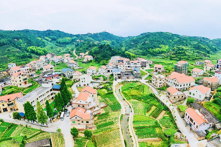 Private Day Tour to the Most Famous Scenic Xiamen Junying Village - Image 2