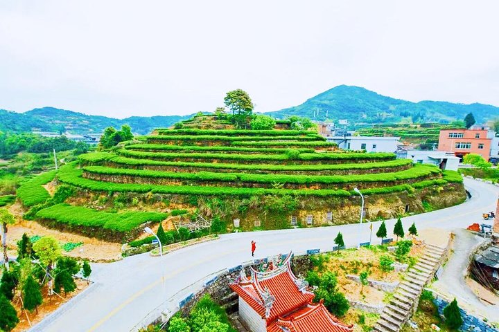 Private Day Tour to the Most Famous Scenic Xiamen Junying Village - Image 4