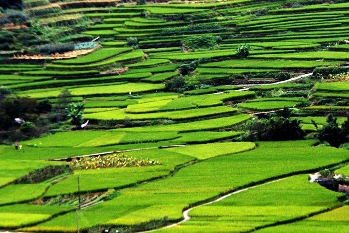 Private Layover Tour to Tianluokeng Tulou from Xiamen Airport or Cruise Port  - Image 2