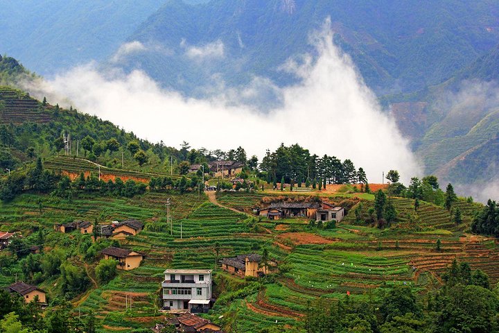 Private One Day Anxi Bama Tea Garden and Hong'en Rock Tour from Xiamen - Image 1