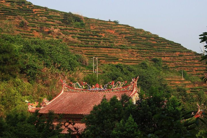 Private One Day Anxi Bama Tea Garden and Hong'en Rock Tour from Xiamen - Image 5