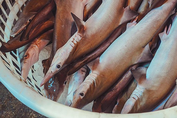 Private Xiamen Sea Food Market & Zhongshan Road Shopping and Eating Experience - Image 2