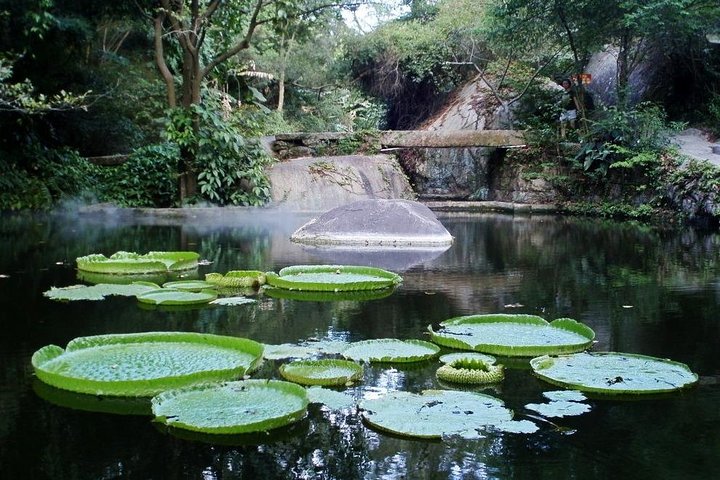 Xiamen Private Day Tour Include Gulangyu Island and Botanic Garden - Image 3