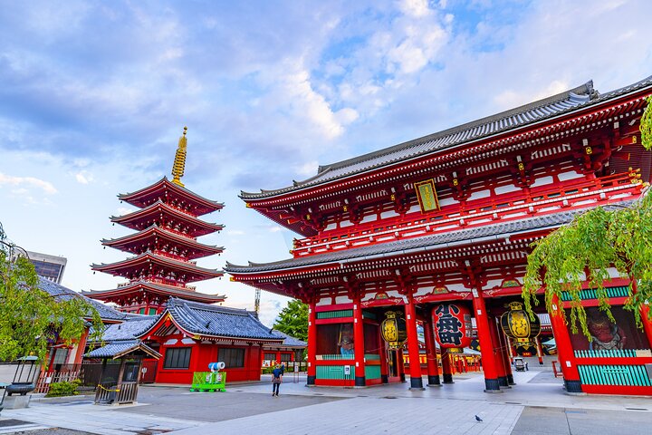 8 Hour Tokyo Tour with Licensed Guide from Yokohama - Image 2